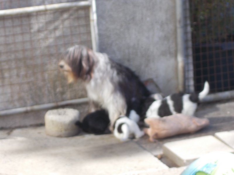 DSCN1431