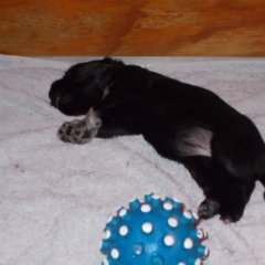 DSCN1266