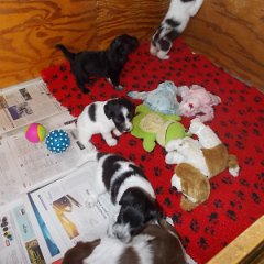 DSCN1354