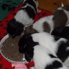 DSCN1388