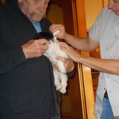 DSCN1403