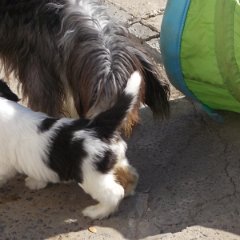 DSCN1428
