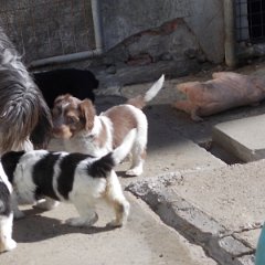 DSCN1429