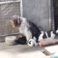 DSCN1431