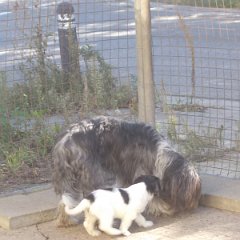 DSCN1437