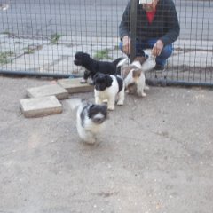 DSCN1473