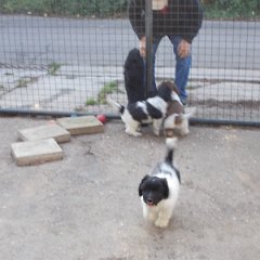 DSCN1475