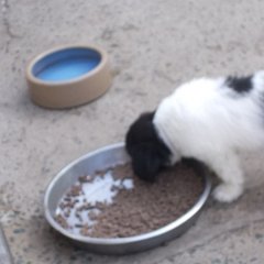 DSCN1484