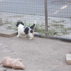 DSCN1490