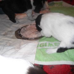 DSCF8751