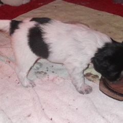 DSCF8830