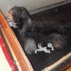 DSCF8867