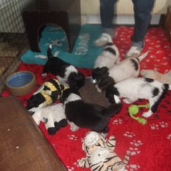 DSCF8936