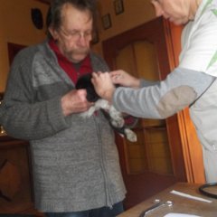 DSCF8942