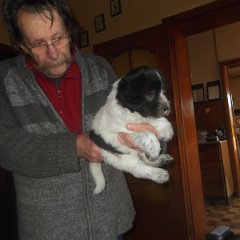 DSCF8947