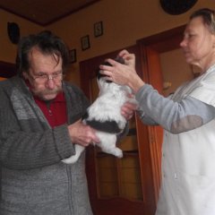 DSCF8949