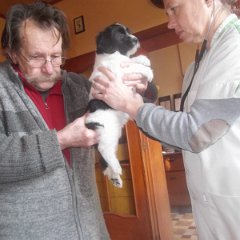 DSCF8957