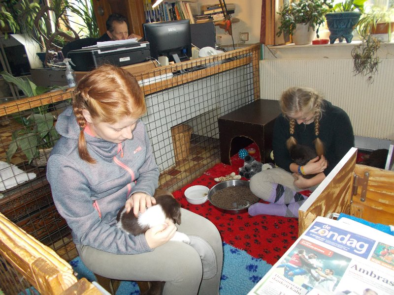 DSCN0370