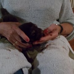 DSCN0172