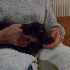 DSCN0173