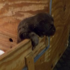 DSCN0213