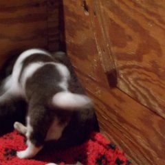DSCN0288