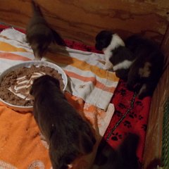 DSCN0299