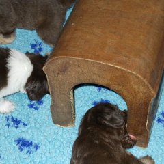 DSCN0343