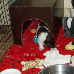 DSCN0358