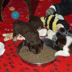 DSCN0369