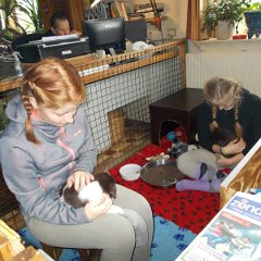 DSCN0370