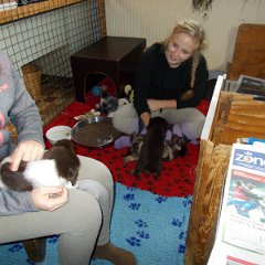 DSCN0373