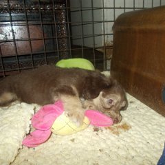 DSCN0442