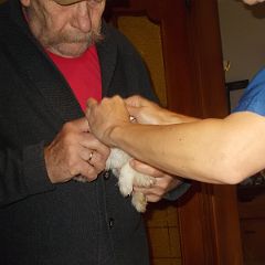 DSCN2064