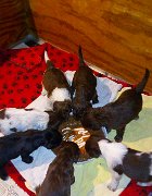 IMG_20180309_2036461