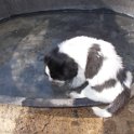 DSCN2912